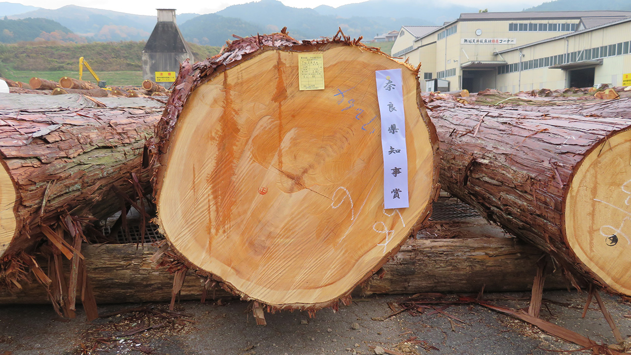 吉野桧の小椋製材